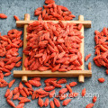 Biologische superfood goji bessen in de fabriek